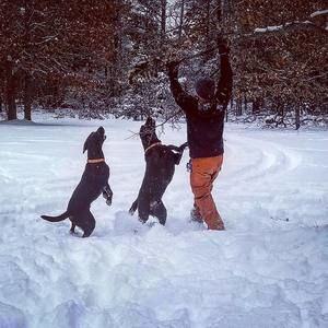 Meet your Posher, Mike